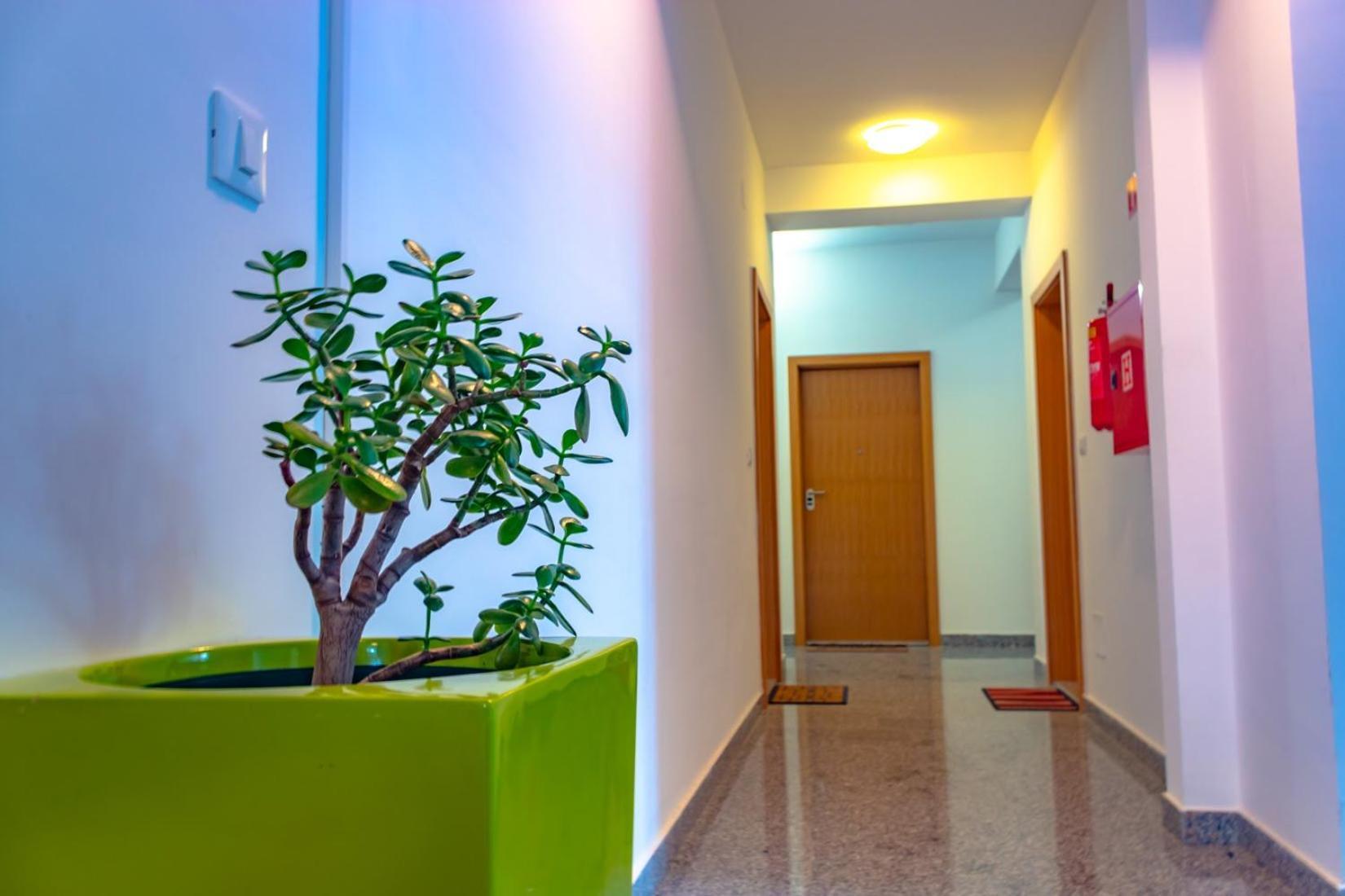 Botic Apartment